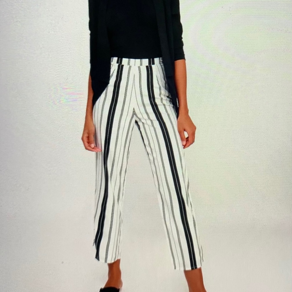 Amuse Society Black & White Striped Pants